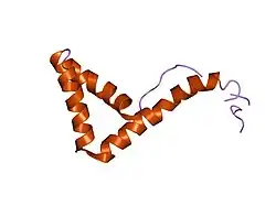 1l8z: Solution structure of HMG box 5 in human upstream binding factor