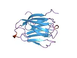 1lcl: CHARCOT-LEYDEN CRYSTAL PROTEIN