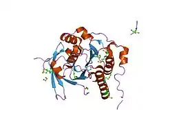 1n0w: Crystal structure of a RAD51-BRCA2 BRC repeat complex