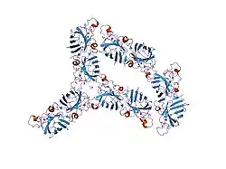 1n18: Thermostable mutant of Human Superoxide Dismutase, C6A, C111S