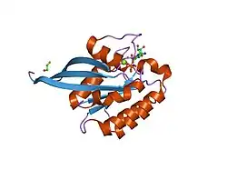 1n6r: Crystal Structure of Human Rab5a A30L mutant complex with GppNHp