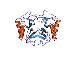 1nap: THE CRYSTAL STRUCTURE OF RECOMBINANT HUMAN NEUTROPHIL-ACTIVATING PEPTIDE-2 (M6L) AT 1.9-ANGSTROMS RESOLUTION