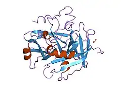 1nrs: CRYSTALLOGRAPHIC STRUCTURES OF THROMBIN COMPLEXED WITH THROMBIN RECEPTOR PEPTIDES: EXISTENCE OF EXPECTED AND NOVEL BINDING MODES