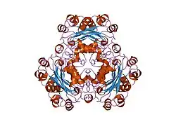 1nsk: THE CRYSTAL STRUCTURE OF A HUMAN NUCLEOSIDE DIPHOSPHATE KINASE, NM23-H2