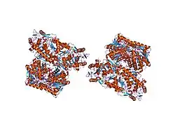 1o02: Human mitochondrial aldehyde dehydrogenase complexed with NADH in the presence of Mg2+