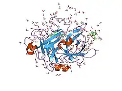 1o5c: Dissecting and Designing Inhibitor Selectivity Determinants at the S1 site Using an Artificial Ala190 Protease (Ala190 uPA)