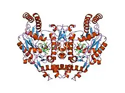 1p6h: Rat neuronal NOS heme domain with L-N(omega)-nitroarginine-2,4-L-diaminobutyric amide bound