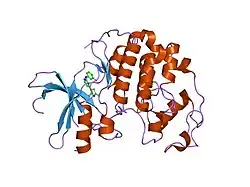 1pxm: HUMAN CYCLIN DEPENDENT KINASE 2 COMPLEXED WITH THE INHIBITOR 3-[4-(2,4-Dimethyl-thiazol-5-yl)-pyrimidin-2-ylamino]-phenol