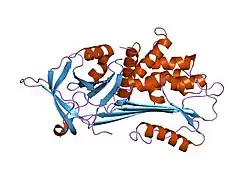 1qlp: 2.0 ANGSTROM STRUCTURE OF INTACT ALPHA-1-ANTITRYPSIN: A CANONICAL TEMPLATE FOR ACTIVE SERPINS