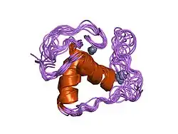 1rgd: STRUCTURE REFINEMENT OF THE GLUCOCORTICOID RECEPTOR-DNA BINDING DOMAIN FROM NMR DATA BY RELAXATION MATRIX CALCULATIONS