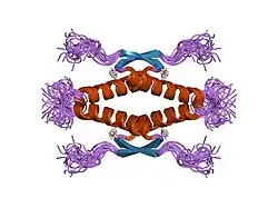 1saf: HIGH RESOLUTION SOLUTION NMR STRUCTURE OF THE OLIGOMERIZATION DOMAIN OF P53 BY MULTI-DIMENSIONAL NMR (SAD STRUCTURES)
