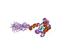 1sbj: NMR Structure of the Mg2+-loaded C Terminal Domain of Cardiac Troponin C Bound to the N Terminal Domain of Cardiac Troponin I