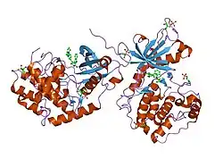 1szm: DUAL BINDING MODE OF BISINDOLYLMALEIMIDE 2 TO PROTEIN KINASE A (PKA)