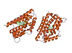 1t5p: Human Heme Oxygenase Oxidation of alpha- and gamma-meso-phenylhemes