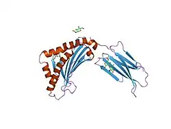 1t7v: Zn-alpha-2-glycoprotein; baculo-ZAG PEG 200