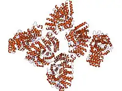1tnz: Rat Protein Geranylgeranyltransferase Type-I Complexed with a GGPP analog and a RRCVLL Peptide Derived from Cdc42 splice isoform-2