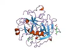 1tom: ALPHA-THROMBIN COMPLEXED WITH HIRUGEN
