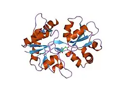 1txf: CRYSTAL STRUCTURE OF THE GLUR5 LIGAND BINDING CORE IN COMPLEX WITH GLUTAMATE AT 2.1 ANGSTROM RESOLUTION