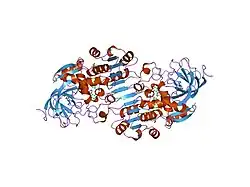 1u3u: Crystal Structure of Human Alcohol Dehydrogenase Beta-1-Beta-1 Isoform Complexed with N-Benzylformamide Determined to 1.6 Angstrom Resolution