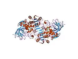 1u3v: Crystal Structure of Human Alcohol Dehydrogenase Beta-1-Beta-1 Isoform Complexed with N-Heptylformamide Determined to 1.65 Angstrom Resolution