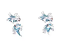 1u41: Crystal structure of YLGV mutant of dimerisation domain of NF-kB p50 transcription factor