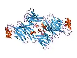 1utc: CLATHRIN TERMINAL DOMAIN COMPLEXED WITH TLPWDLWTT