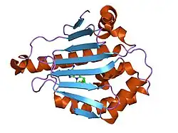1uy8: HUMAN HSP90-ALPHA WITH 9-BUTYL-8-(3-TRIMETHOXY-BENZYL)-9H-PURIN-6YLAMINE
