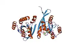 1wms: High resolution crystal structure of human Rab9 GTPase: a novel antiviral drug target