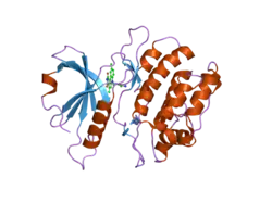1wvx: Crystal structures of kinase domain of DAP kinase in complex with small molecular inhibitors