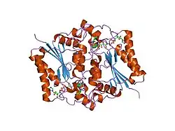 1xi2: Quinone Reductase 2 in Complex with Cancer Prodrug CB1954