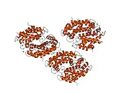 1xk4: Crystal structure of human calprotectin(S100A8/S100A9)