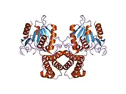 1xkt: Human fatty acid synthase: Structure and substrate selectivity of the thioesterase domain