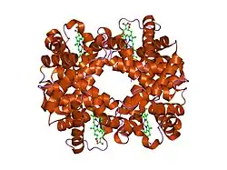 1y46: T-To-T(High) quaternary transitions in human hemoglobin: betaW37Y deoxy low-salt (10 test sets)