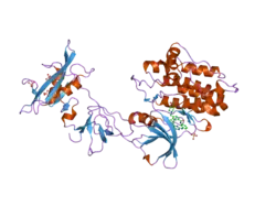 1y57: Structure of unphosphorylated c-Src in complex with an inhibitor