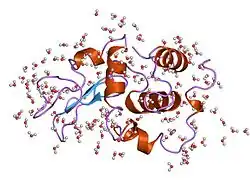 1yam: CONTRIBUTION OF HYDROPHOBIC RESIDUES TO THE STABILITY OF HUMAN LYSOZYME: CALORIMETRIC STUDIES AND X-RAY STRUCTURAL ANALYSIS OF THE FIVE ISOLEUCINE TO VALINE MUTANTS