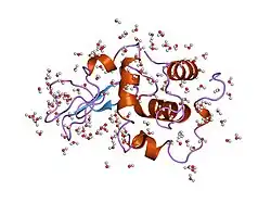 1yap: CONTRIBUTION OF HYDROPHOBIC RESIDUES TO THE STABILITY OF HUMAN LYSOZYME: CALORIMETRIC STUDIES AND X-RAY STRUCTURAL ANALYSIS OF THE FIVE ISOLEUCINE TO VALINE MUTANTS