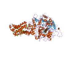 1yq4: Avian respiratory complex ii with 3-nitropropionate and ubiquinone