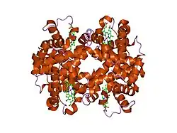 1yvq: The low salt (PEG) crystal structure of CO Hemoglobin E (betaE26K) approaching physiological pH (pH 7.5)