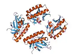 1yz1: Crystal structure of human translationally controlled tumour associated protein