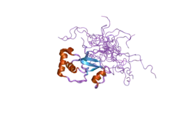 1yzs: Solution structure of human sulfiredoxin (srx)
