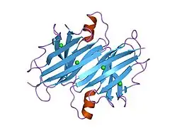 1zd6: Crystal structure of human transthyretin with bound chloride