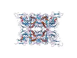 1zgl: Crystal structure of 3A6 TCR bound to MBP/HLA-DR2a