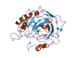 1zh9: carbonic anhydrase II in complex with N-4-Methyl-1-piperazinyl-N'-(p-sulfonamide)phenylthiourea as sulfonamide inhibitor