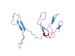 1zk9: NF-kB RelB forms an intertwined homodimer