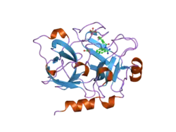 1zsj: Crystal Structure of the Catalytic Domain of Coagulation Factor XI in complex with N-(7-Carbamimidoyl-naphthalen-1-yl)-3-hydroxy-2-methyl-benzamide