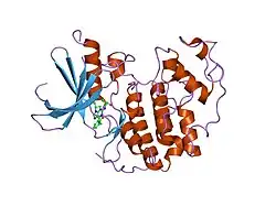 2a0c: Human CDK2 in complex with olomoucine II, a novel 2,6,9-trisubstituted purine cyclin-dependent kinase inhibitor