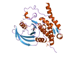 2a3k: Crystal Structure of the Human Protein Tyrosine Phosphatase, PTPN7 (HePTP, Hematopoietic Protein Tyrosine Phosphatase)