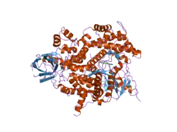 2a5u: Crystal Structure of human PI3Kgamma complexed with AS605240