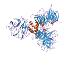 2b5m: Crystal Structure of DDB1