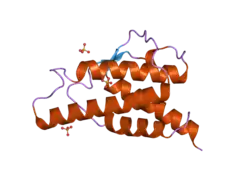 2b91: Crystal structure of the interleukin-4 variant F82DR85A